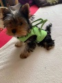 FB IMG_1605812313162