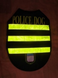 PA040004