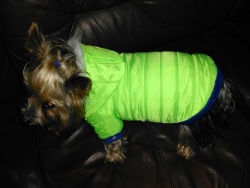 neon